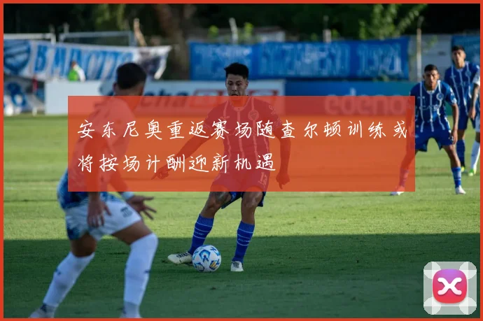 安东尼奥重返赛场随查尔顿训练或将按场计酬迎新机遇