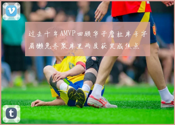 过去十年AMVP回顾华子詹杜库卡字眉獭兔齐聚库里两度获奖成焦点