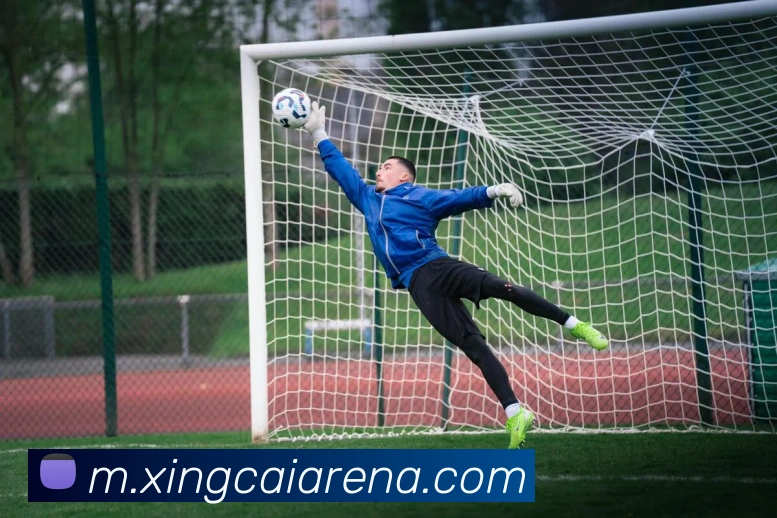 杏彩体育APP 封面图